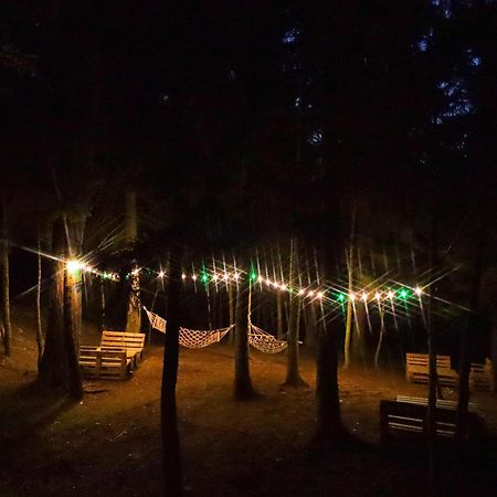 Hotel Evergreen Borjomi ภายนอก รูปภาพ