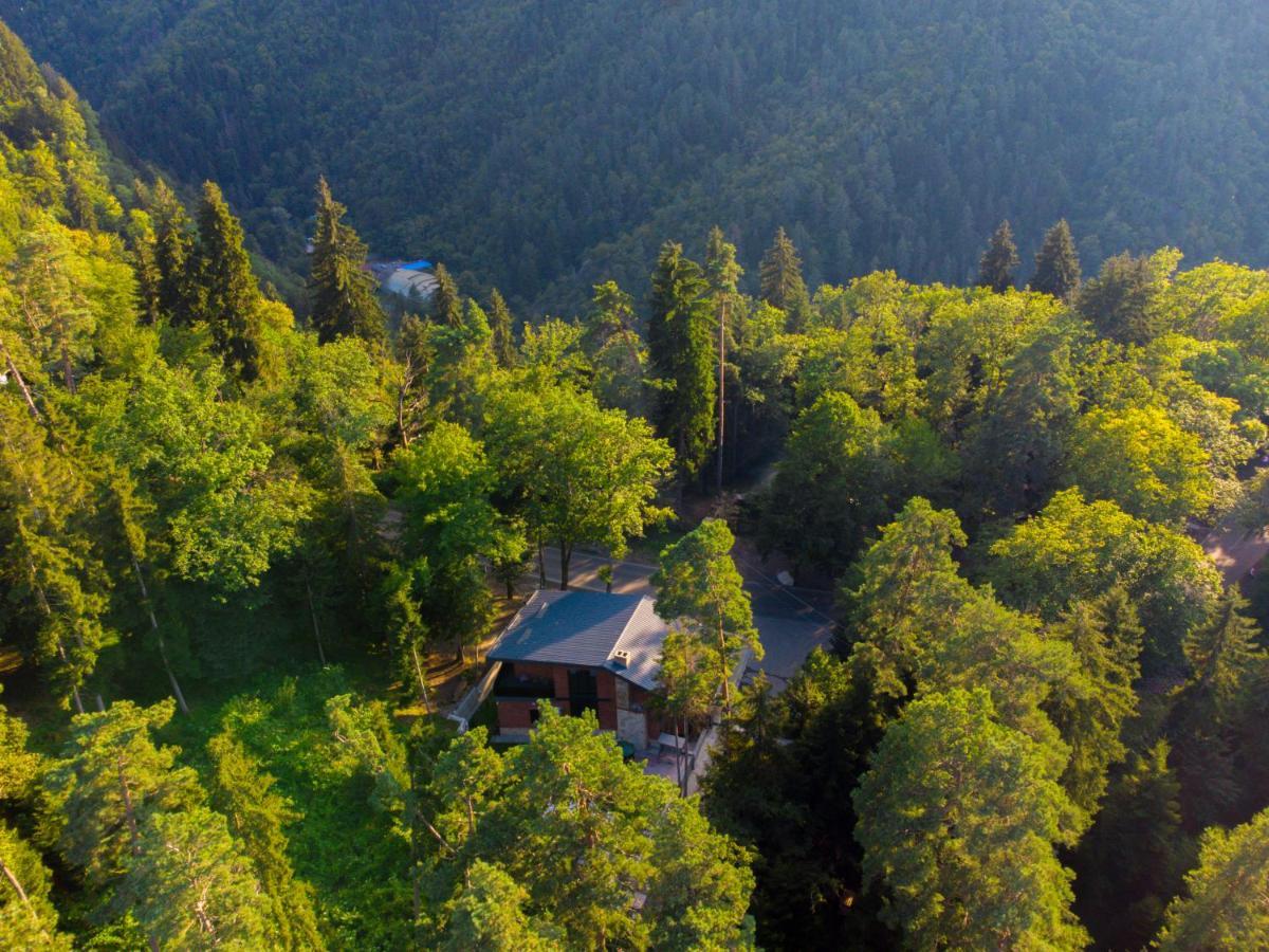 Hotel Evergreen Borjomi ภายนอก รูปภาพ