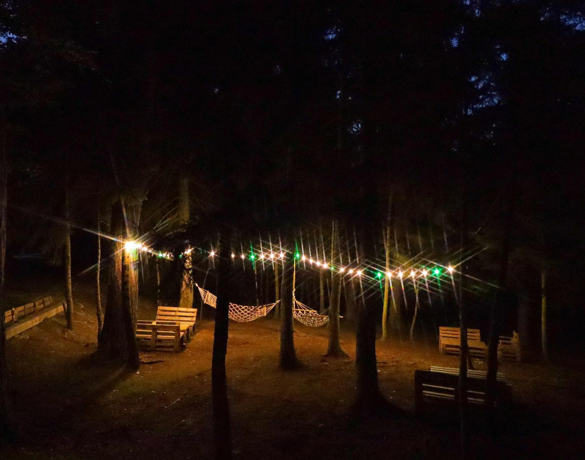 Hotel Evergreen Borjomi ภายนอก รูปภาพ